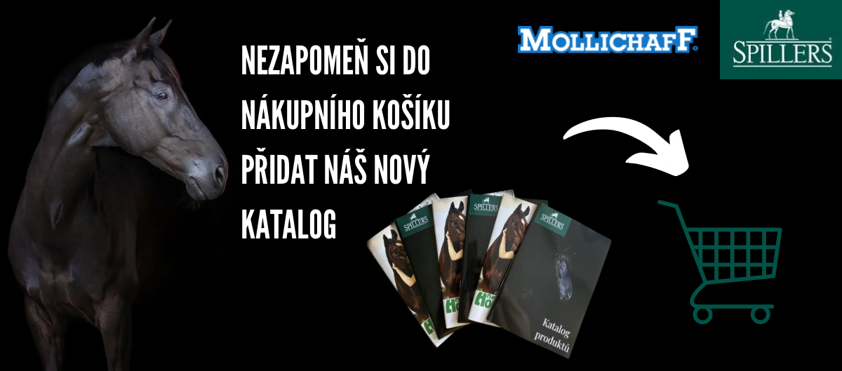 Katalog - do kosiku