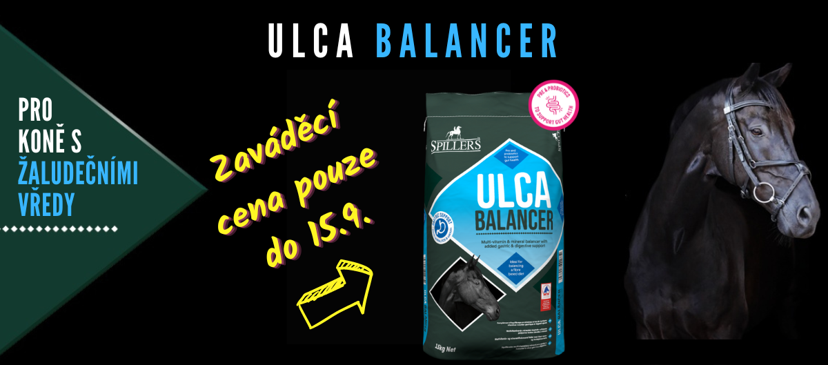 Akční cena Ulca Balancer