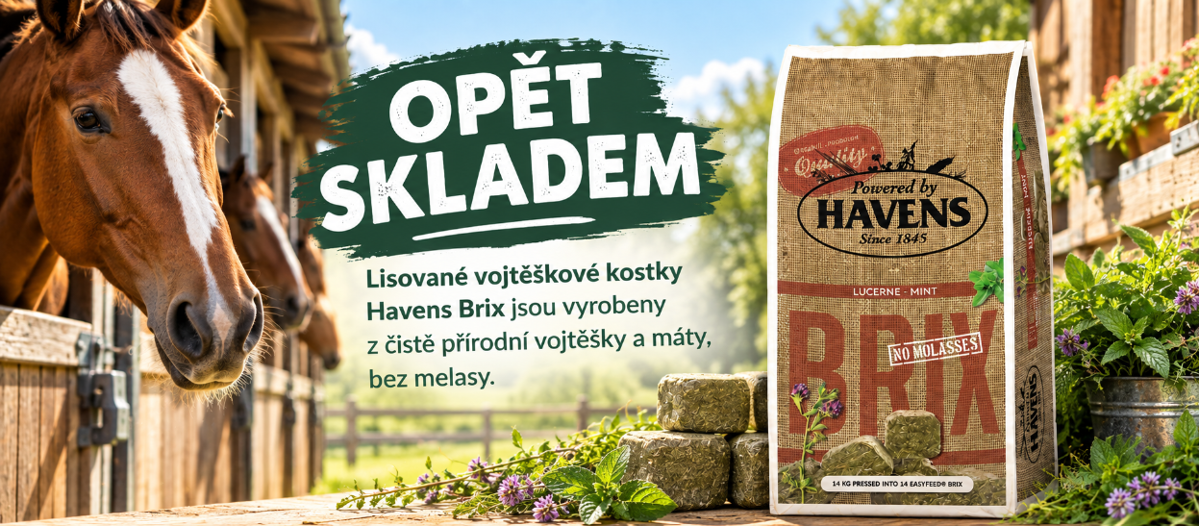 Havens brix