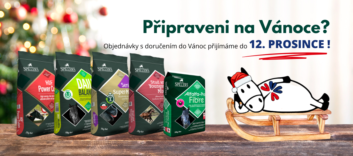 Vánoce - volno 2025