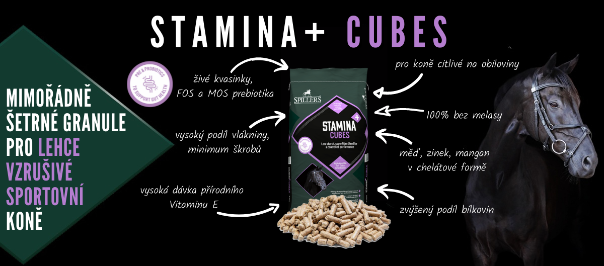 stamina cubes