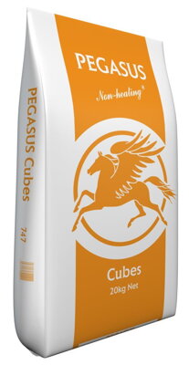 Pegasus Cubes 20kg