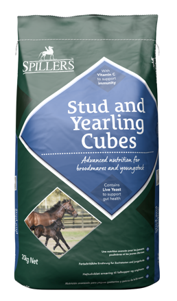 Stud and Yearling Cubes 20kg 