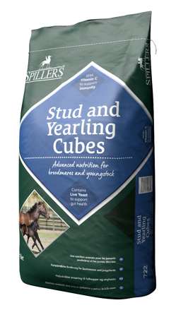 Stud and Yearling Cubes 20kg 